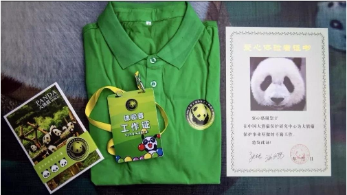國之公益實踐四川大熊貓志愿保護者研學項目