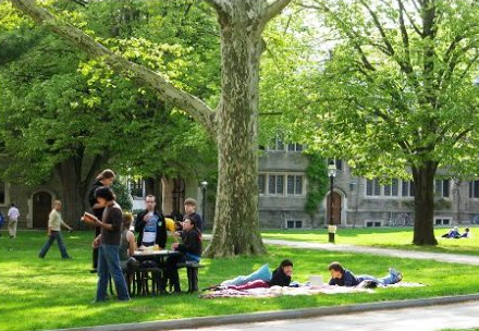 普林斯頓大學(xué)世界排名院系設(shè)置專業(yè)設(shè)置及校史詳解